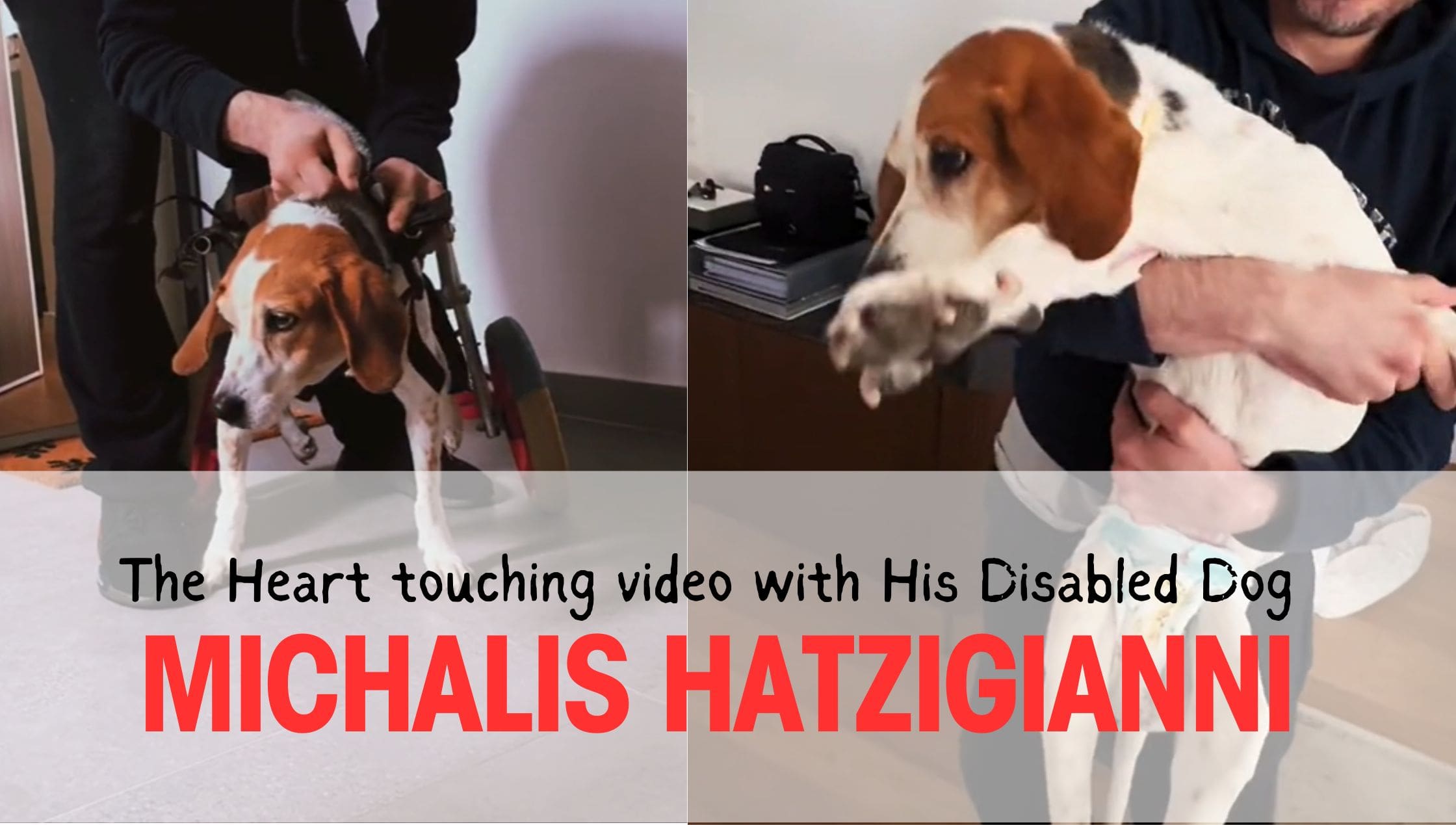 The Heart touching video of Michalis Hatzigianni with His Disabled Dog