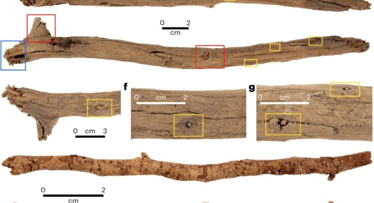 Archaeological evidence confirms the continuity of Australian aboriginal ritual