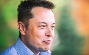 Elon Musk calls out Crowdstrike over faulty digital software update.