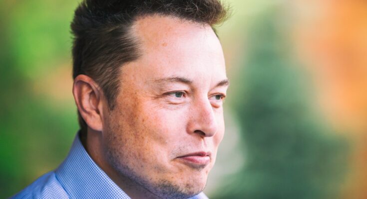 Elon Musk calls out Crowdstrike over faulty digital software update.