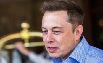 Elon Musk calls the IF Metall workers' protest insane