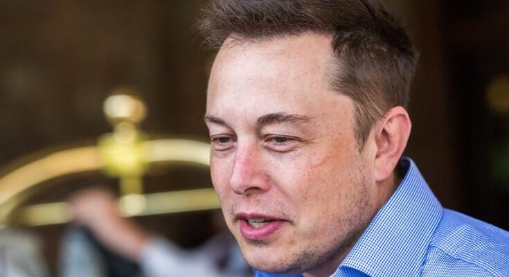 Elon Musk calls the IF Metall workers' protest insane