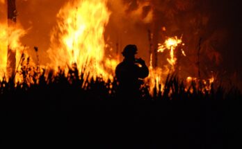 Violent fire breaks out in Sofiko, Corinth, near the Epidaurus.