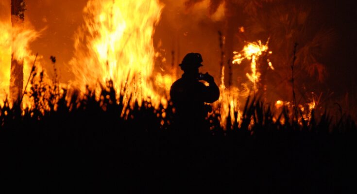 Violent fire breaks out in Sofiko, Corinth, near the Epidaurus.