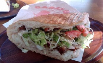 Germany Turkey doner