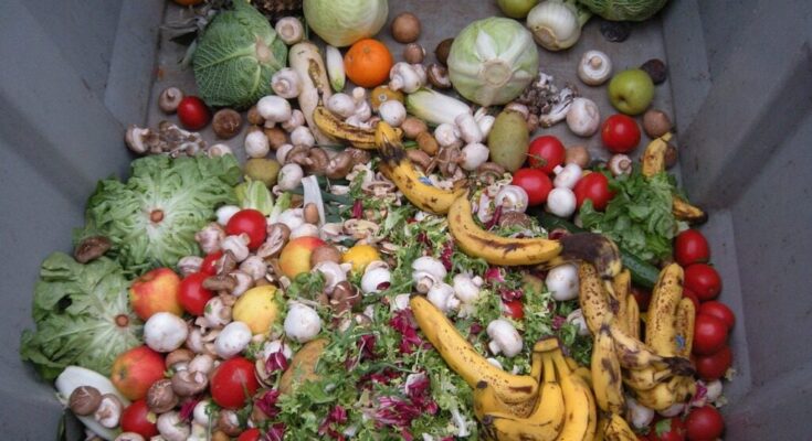 Greece is among the top 5 EU nations for food waste.