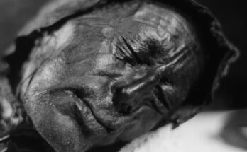 tollund man iron age mummy bog body