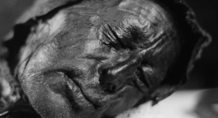 tollund man iron age mummy bog body