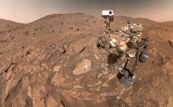 ‘Potential biosignature’ found in ancient rocks of Mars