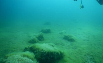 'Stonehenge' Structure Discovered in US Lake