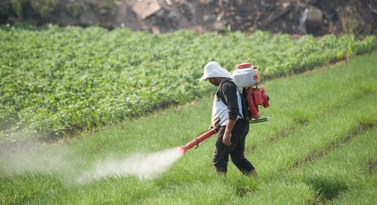 Pesticides Pose Cancer Risk on Par with Smoking. Credit: IWMI Flickr Photos / Flickr / CC BY-NC-ND 2.0