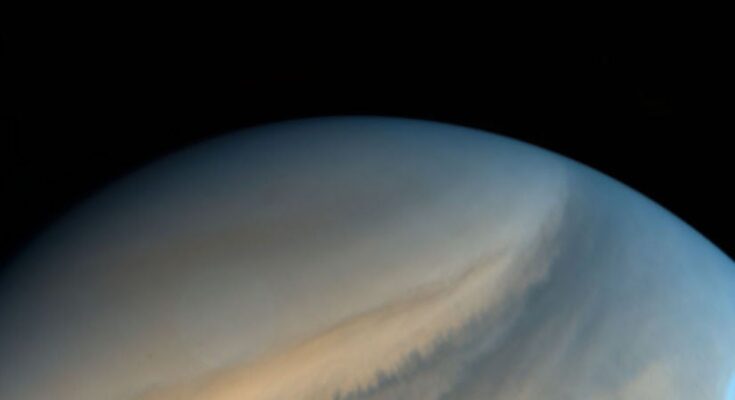 two gases in Venus' clouds suggesting possible life