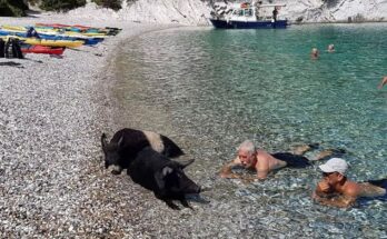 Pigs beach Greece