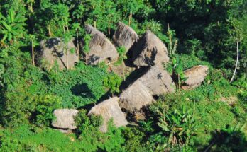 Uncontacted Mashco Piro tribe sighted more frequently in recent weeks.