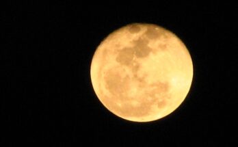 Scientists believe moon caves could provide shelter for humans.