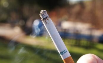 First-ever clinical treatment guide to quit tobacco released by WHO