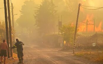 Athens wildfires