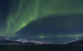 The northern light (aurora borealis)