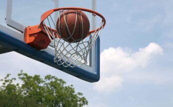 Basketball ball in a hoop