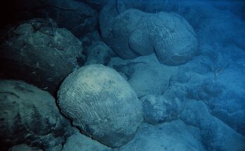 Pillow basalt crop that forms the Earth's deepest mantle rocks