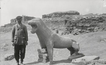 Delos excavations