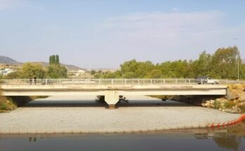 Dead fish in Xiria river