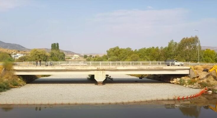 Dead fish in Xiria river