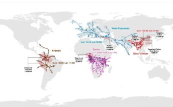 language dispersion