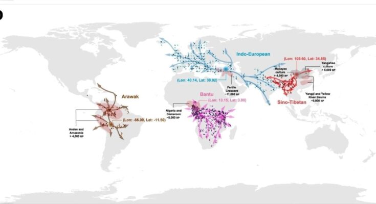 language dispersion