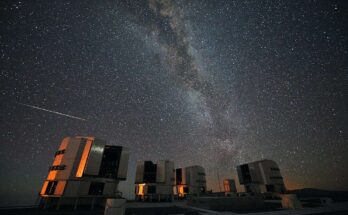 The 2010 Perseids over the ESO's VLT