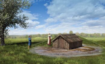 Archaeologists found Iron and Viking Age mortuary houses