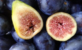 Greek Figs