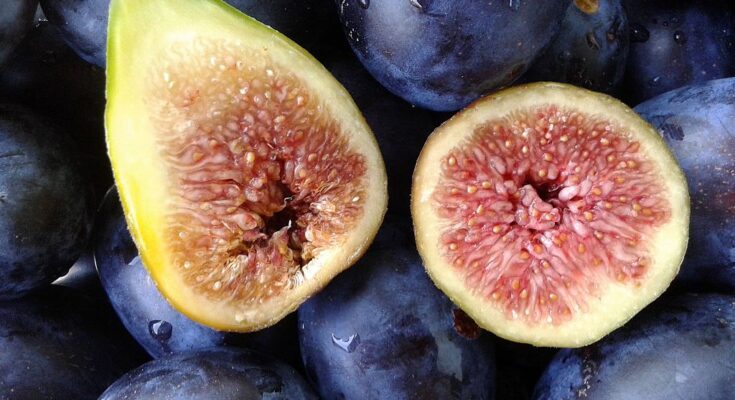 Greek Figs