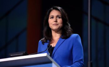 Tulsi Gabbard speaking at the 2019 DNC in San Francisco. Credit: Gage Skidmore, CC BY-SA 2.0/Flickr