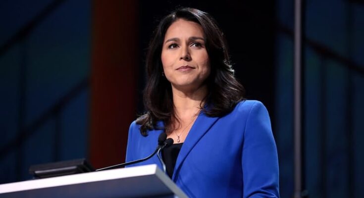 Tulsi Gabbard speaking at the 2019 DNC in San Francisco. Credit: Gage Skidmore, CC BY-SA 2.0/Flickr