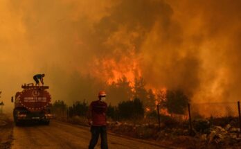 Wildfires have arrived sooner than expected in Greece this year, with temperatures reaching 30 degrees celsius in late March.