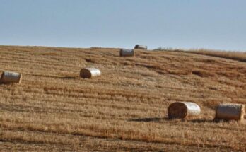 Wheat Bales Under a Scorching Sun: A Hot Autumn Expected for Greece.