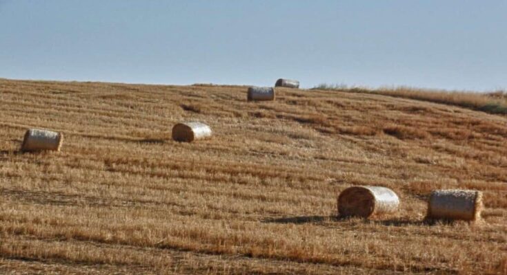 Wheat Bales Under a Scorching Sun: A Hot Autumn Expected for Greece.