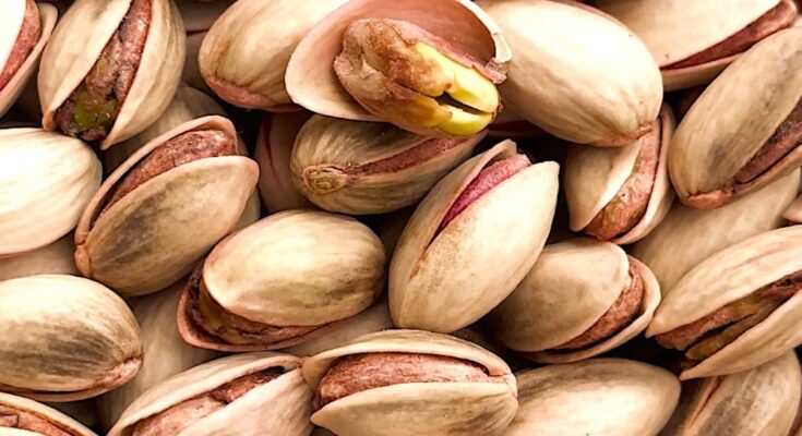 Aegina in Greece Grows the World’s Best Pistachios