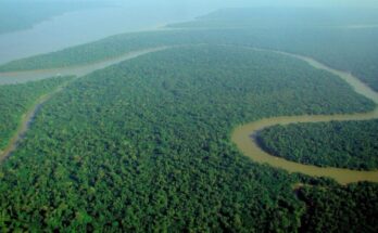 Aerial view of the Amazon Rainforest