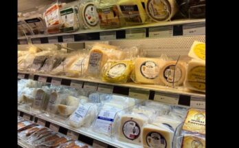 Many kinds of Greek cheese.