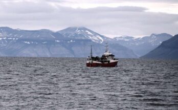 Dickson fjord where mega-tsunami created earthquake