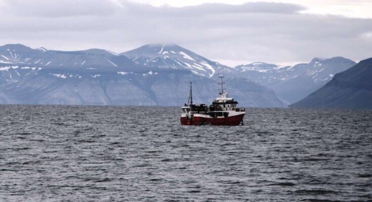 Dickson fjord where mega-tsunami created earthquake