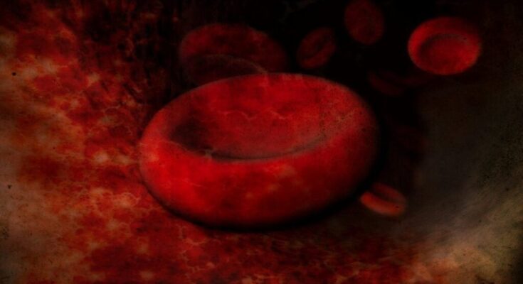 Blood cell