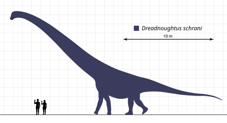 Image of Dreadnoughtus, one of the biggest dinosaurs ever lived