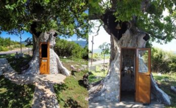 Tree church dedicated to Saint Paisios