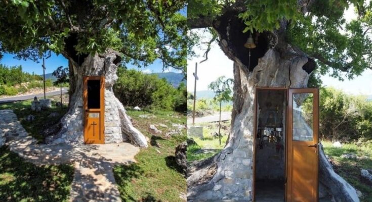 Tree church dedicated to Saint Paisios