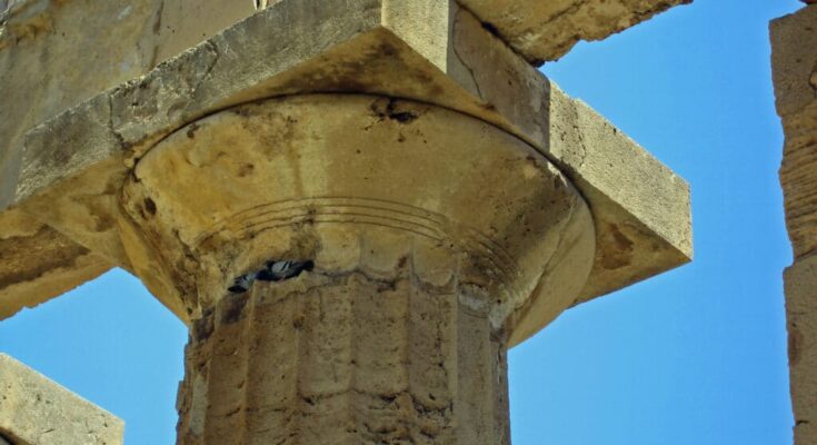 Doric Style column and capital of an temple of ancient Greece.