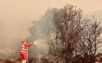 A fireman trying to put out a forest fire