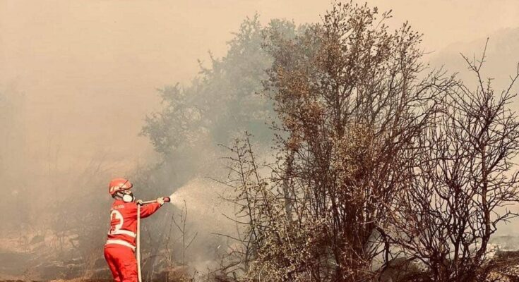 A fireman trying to put out a forest fire